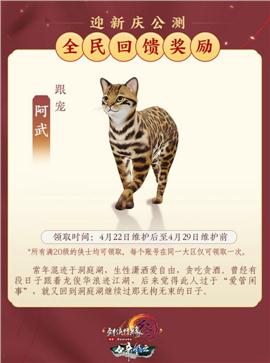 天龙八部私服被攻击了怎么办